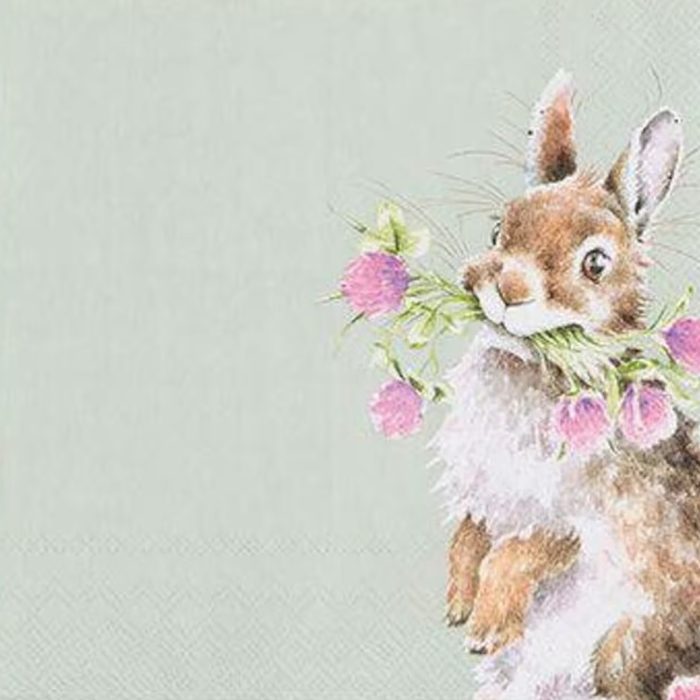 Wrendale Bundle Napkins