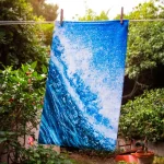 Sea Life & Nature Themed Dish Towels